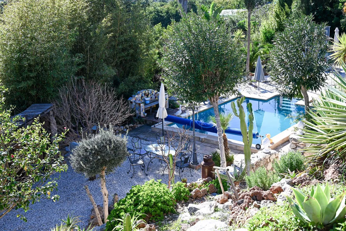 80a2aa97-d0e6-431f-aae0-c31d304cd8ca