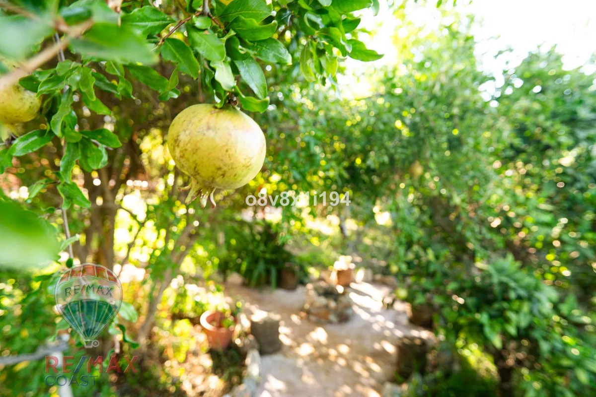 1c77f2b1-704a-482d-9abc-15859b907033