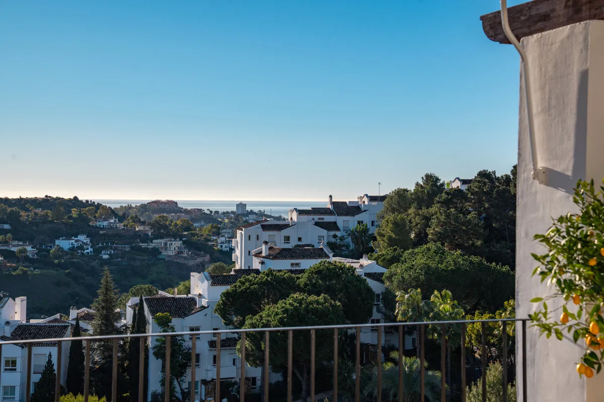 346f762e-469e-4afa-aa70-a0fd1e4eefb1