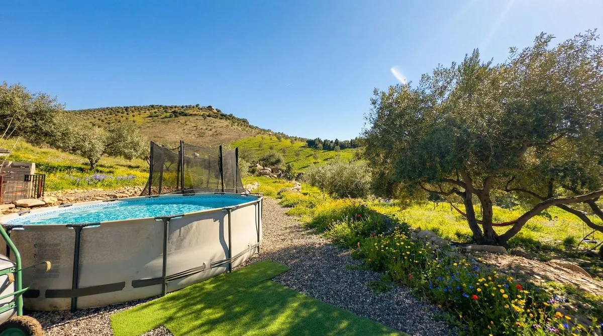 0ba7ea79-ad46-4c02-82bb-c79367cf4aff