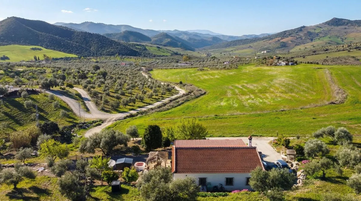 67c3c256-0efe-44a1-8897-98f2346173e8