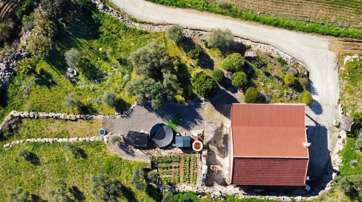 f8a7e954-21d2-41da-8894-7272e201d81d