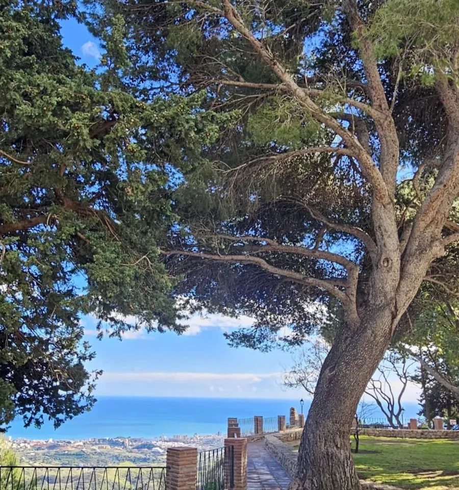 71e0f197-728a-40c5-9ac7-bf57a4ba8bca