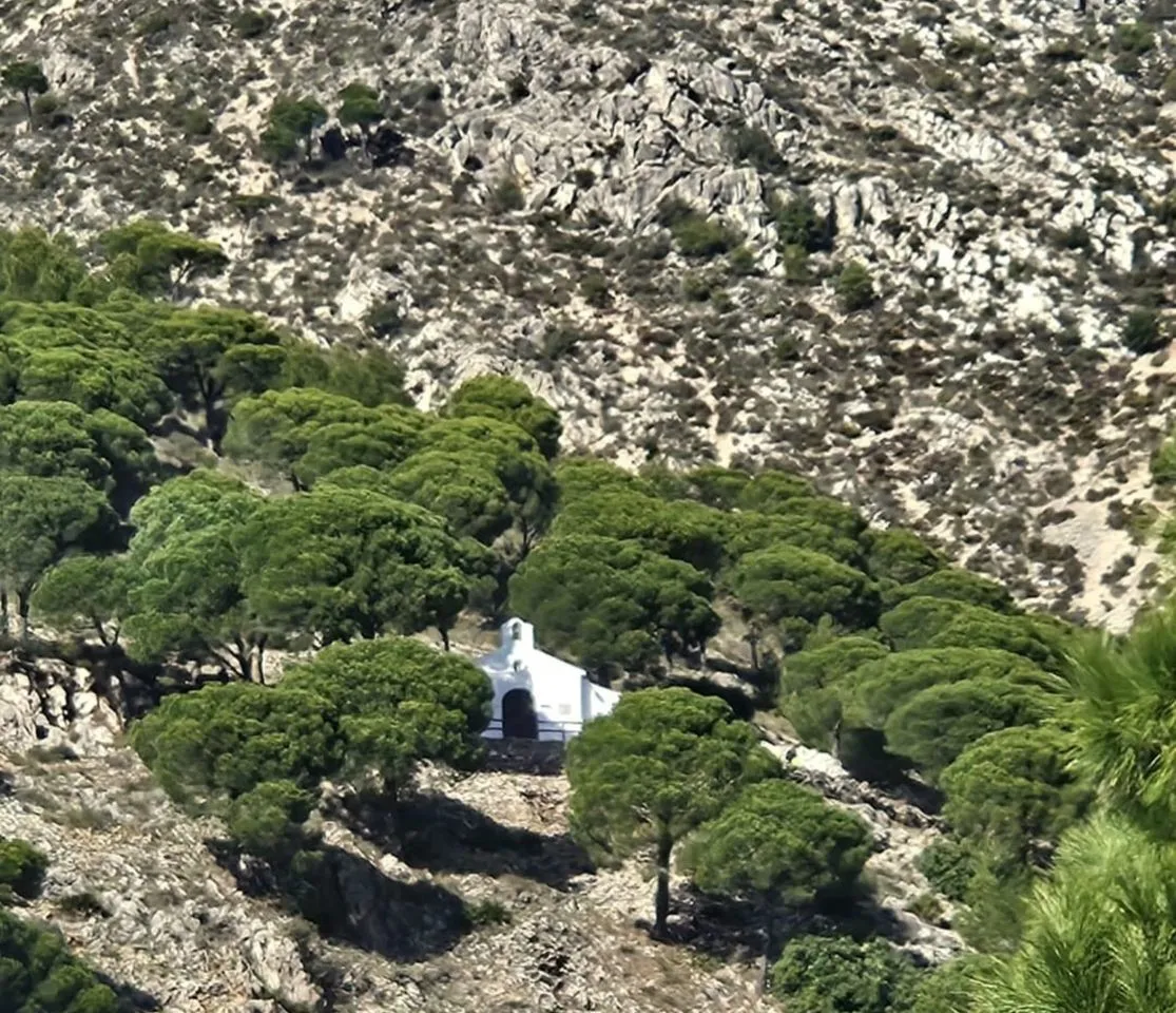 d3b1fd85-1bf6-4f58-b6db-85057f39c3c3