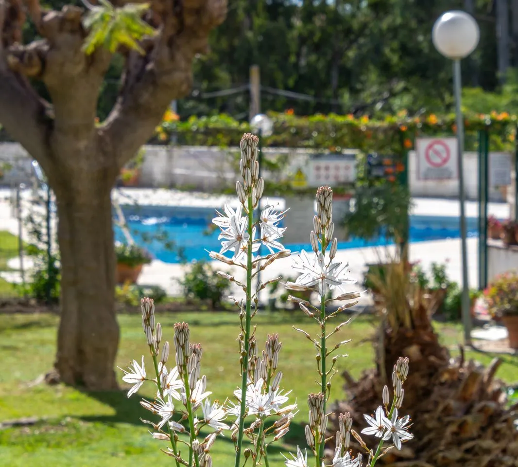 1a8fbf4c-258d-4cc0-bd06-15ced896cb64