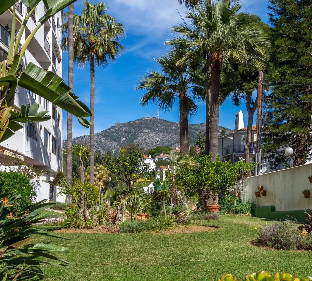 372cf692-343f-4182-a0f0-0d6a71bbdac8