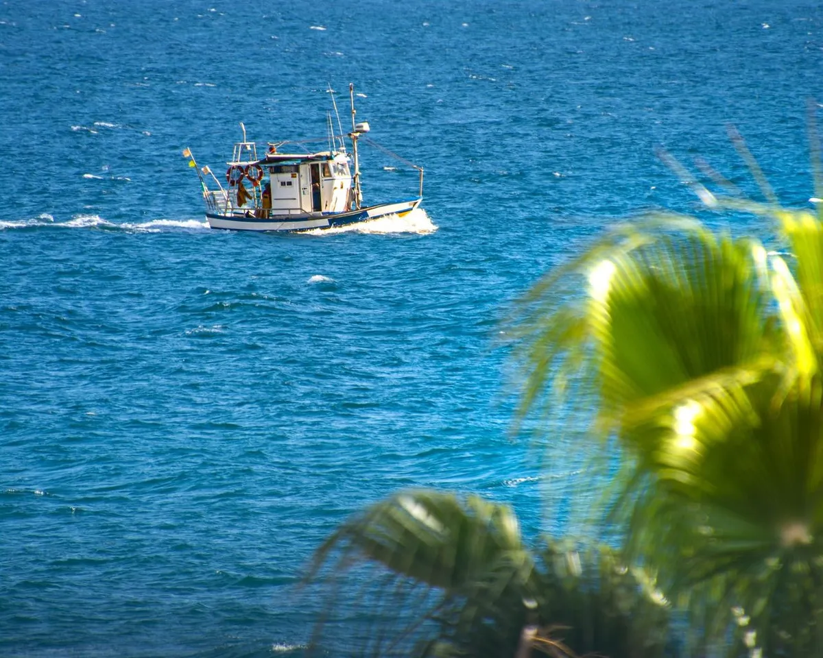 3ee1bf15-1d80-402b-bfaa-cabe79f35701