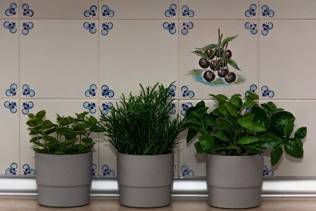 613a149b-2035-4fe3-b48a-09bbe025a722