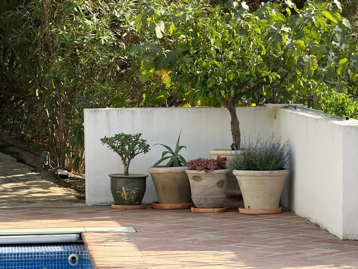 41956336-ea43-4031-b4d0-b21eb87faf86