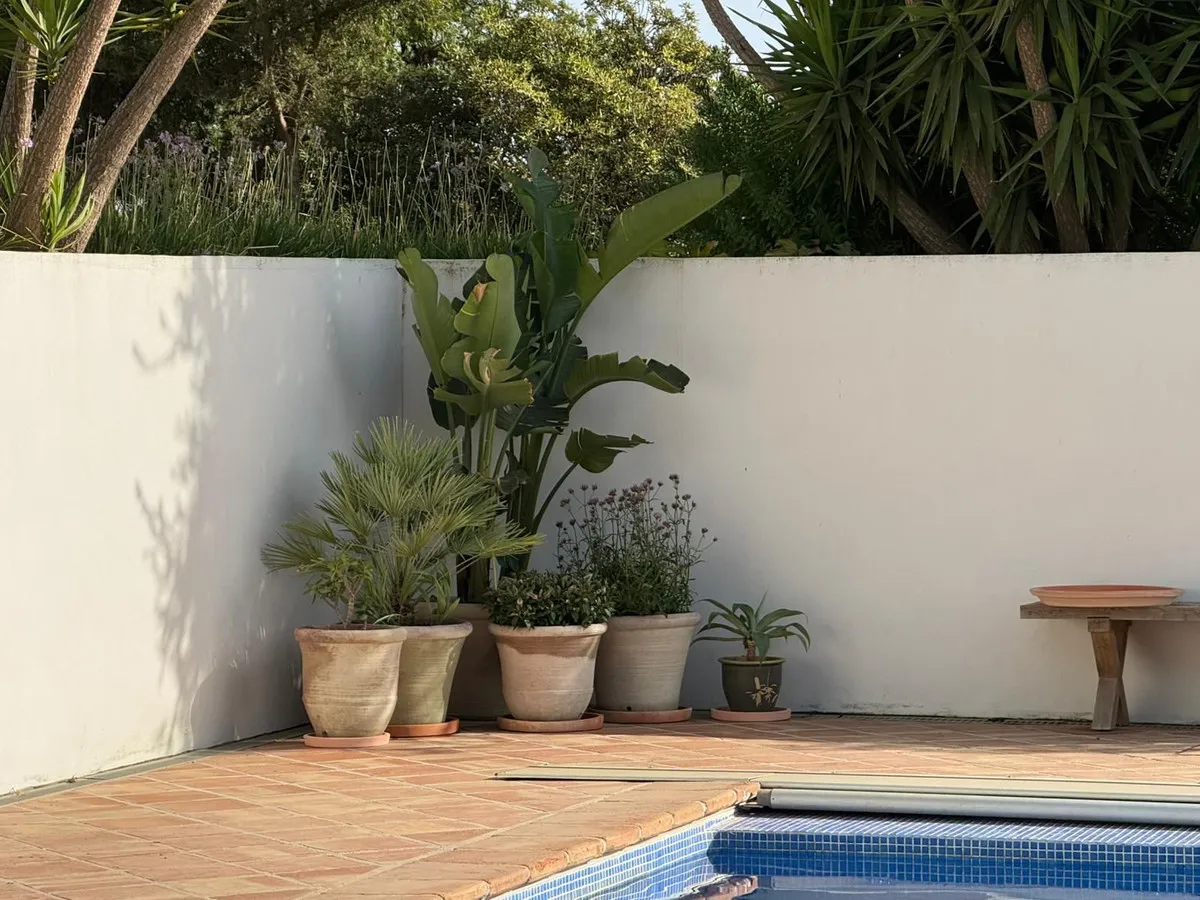 4d544983-ea3b-4c5b-b474-d35663370ff2