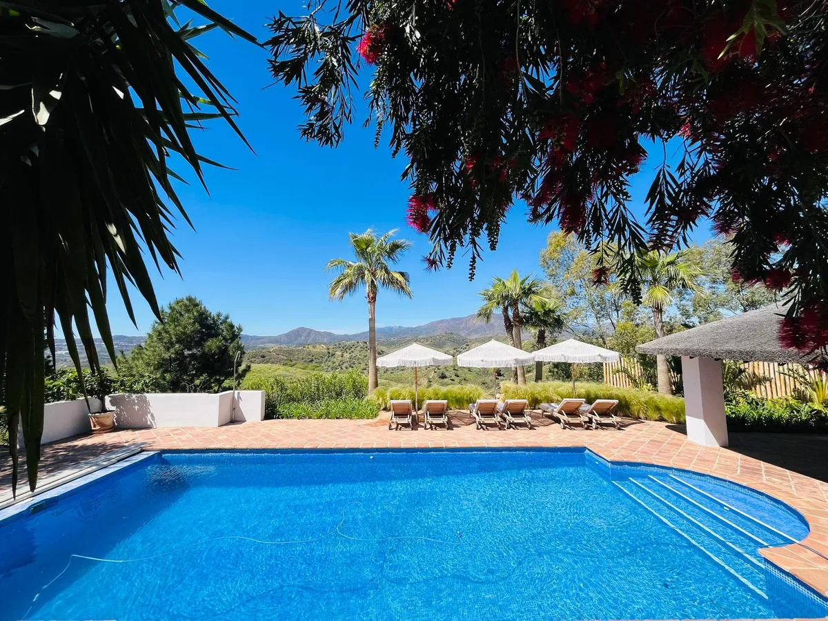 b39d60cc-601c-4240-9aed-97abe599a1b0