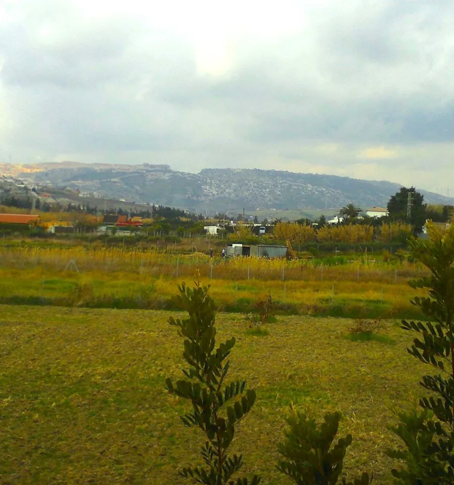 73d8e9f5-e89f-42c7-a504-dd44509d1f8c