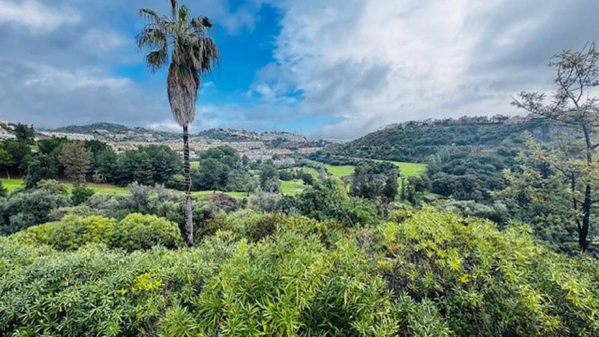 c67c2d25-9746-4b2c-b204-0d856a490211