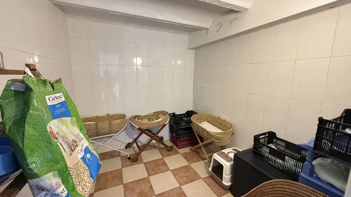 5a79be32-c5ae-45a3-8126-9d56b3c11f83