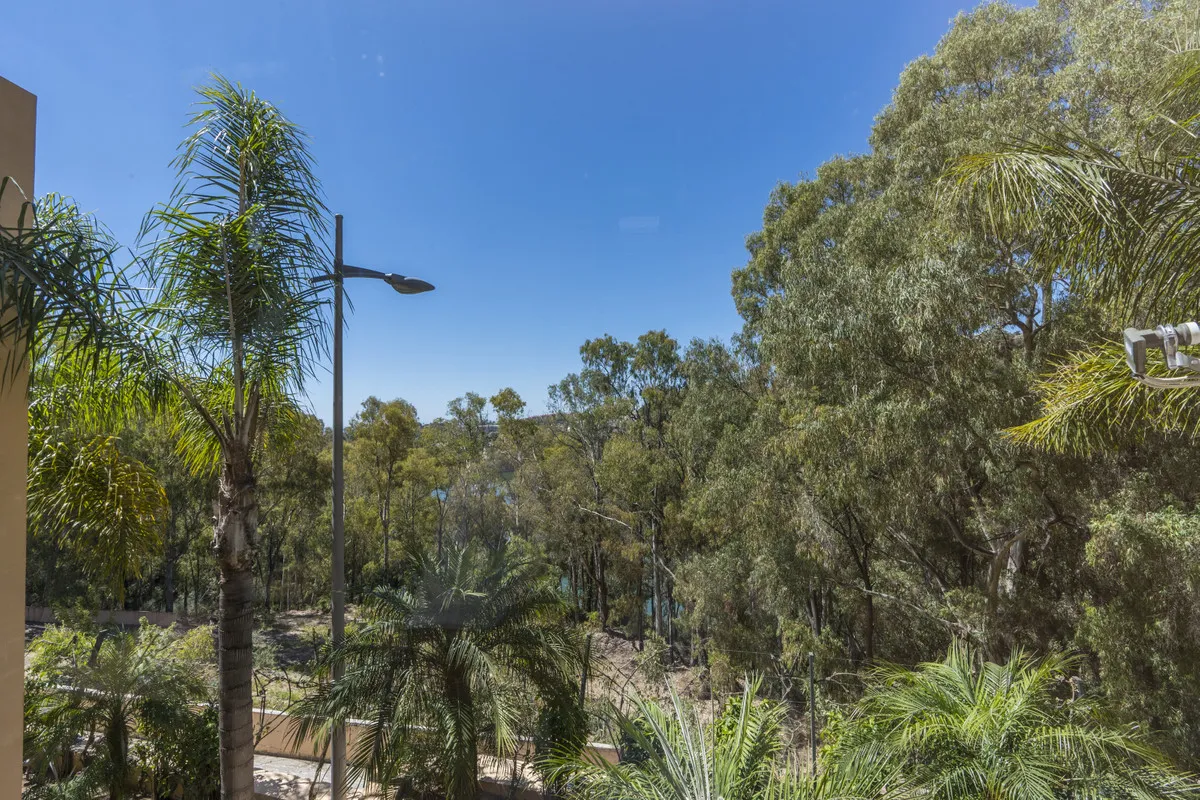 955b98c0-84fe-471f-916f-596c2b1d0ea2