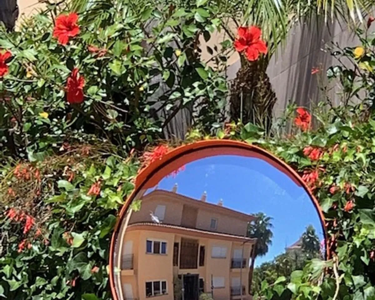 d433f909-355e-4e9c-a20f-26c14e327f7a