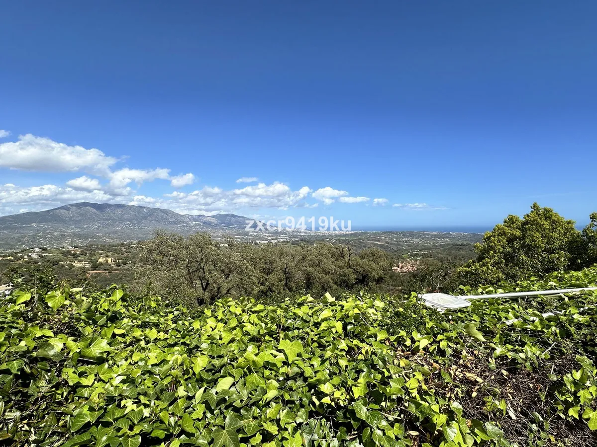 dabf5d10-c62a-4fdb-9369-7b8d6b8f5412