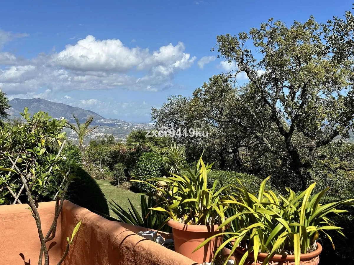 e2401a4c-3654-41f9-9501-3012f5f833ce