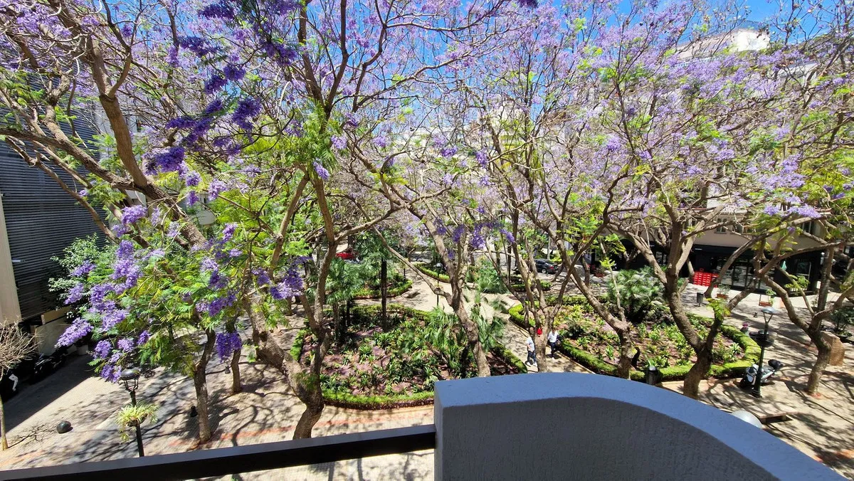 48e40b94-9c45-486b-8bf4-bbd028ea4479