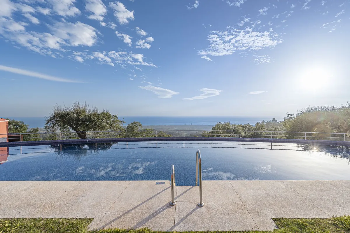 e6d33800-1227-4b5a-9d49-b86dedb7dd8f