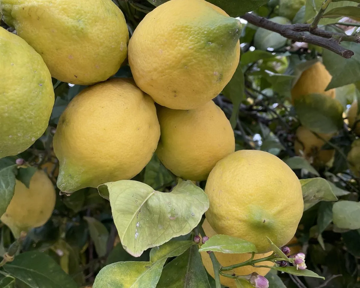 ea201a9b-92bf-4f24-b414-6739d8265e1b