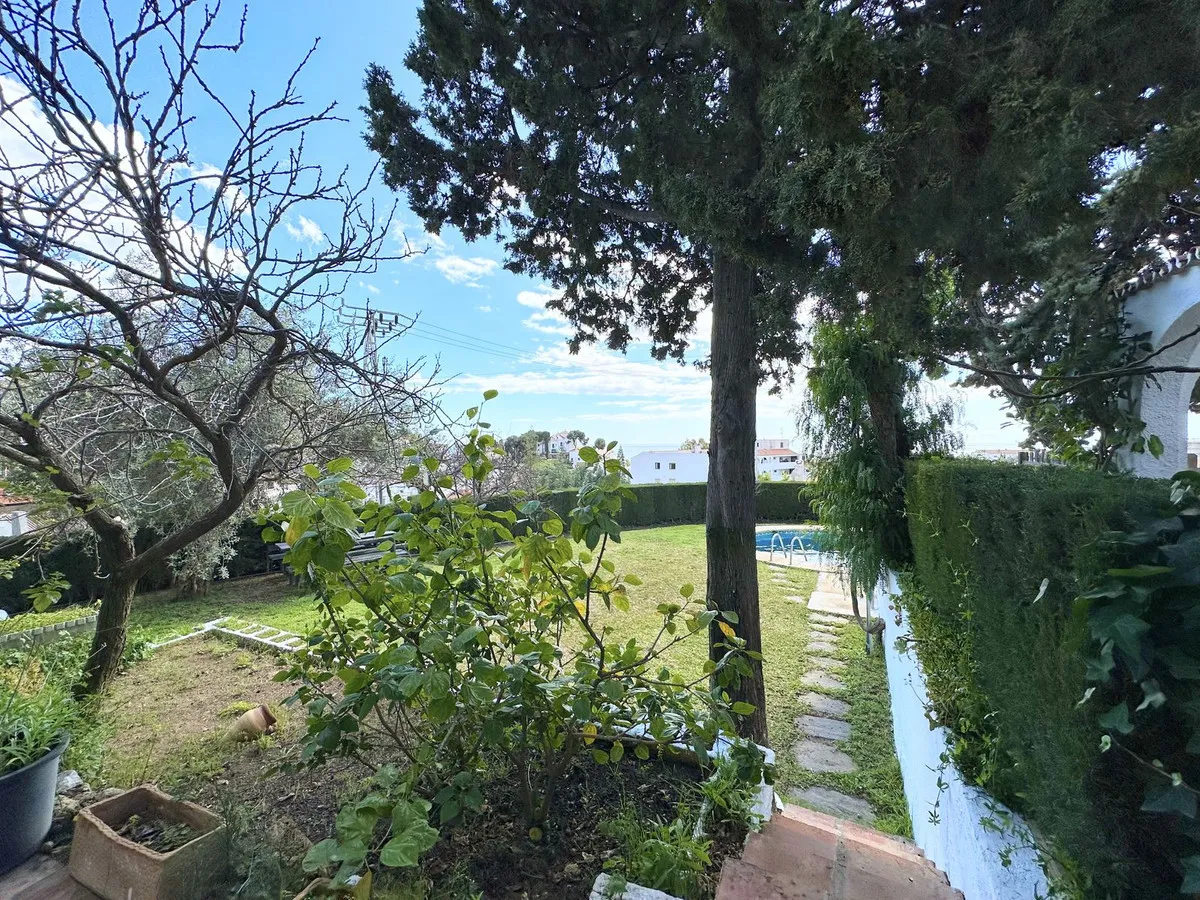 060ca8c6-5972-453a-9d39-ef8e20428976