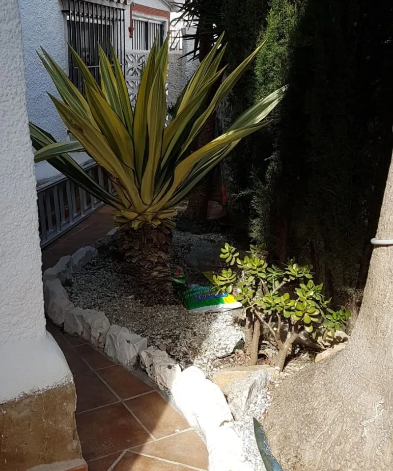 2f12580c-15d0-4222-9686-11ec80b3a92a