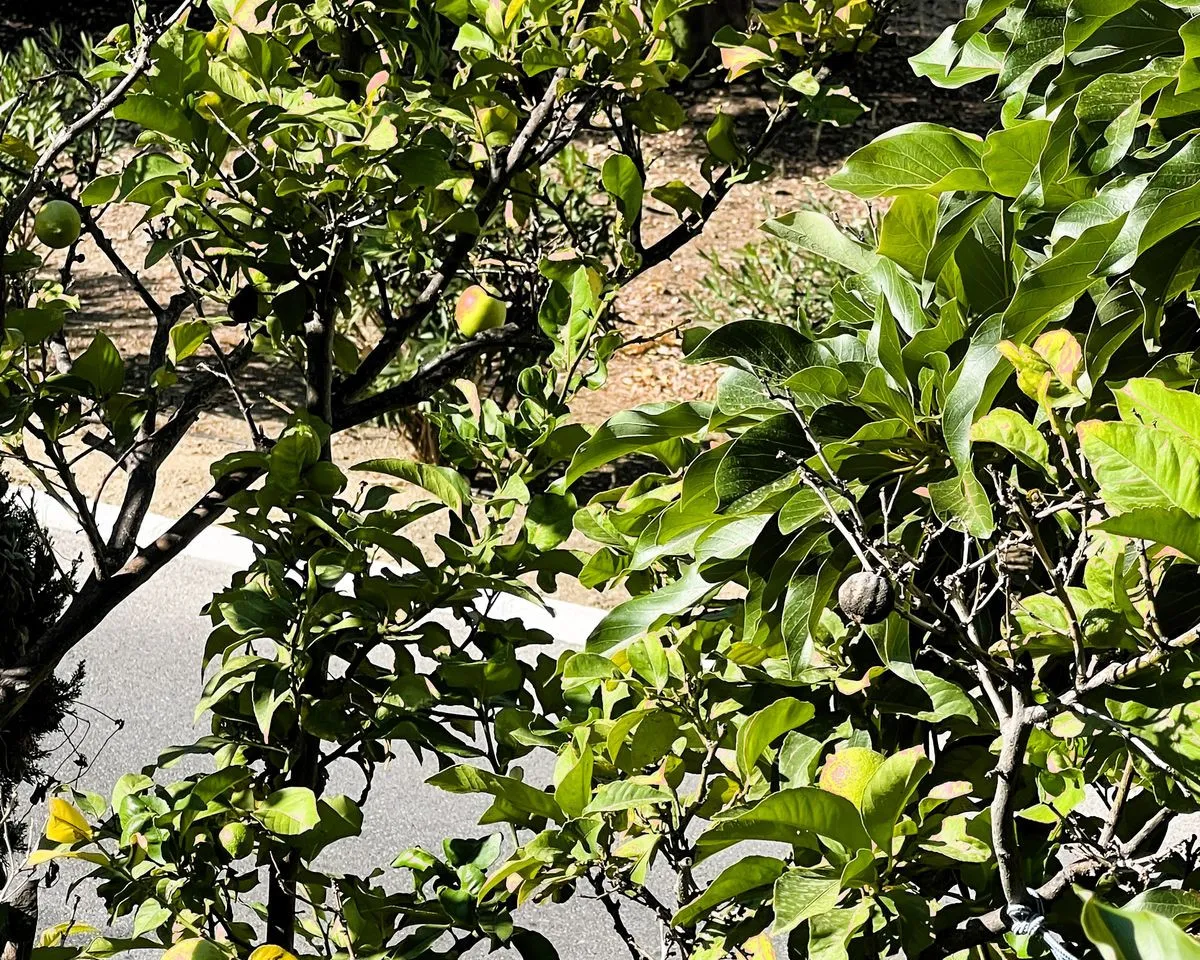 3d2b0d3d-e25d-4980-bd1b-c9f8960a1d5d