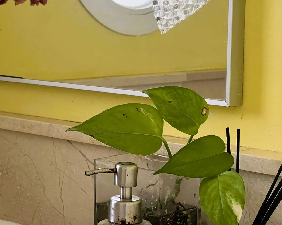 589cd5ac-d88c-4397-9b88-2042ec211fe7