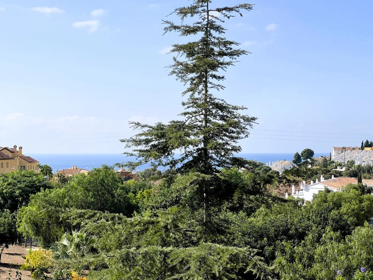 8f97a6a6-493c-4715-ba01-615f28f8d06e