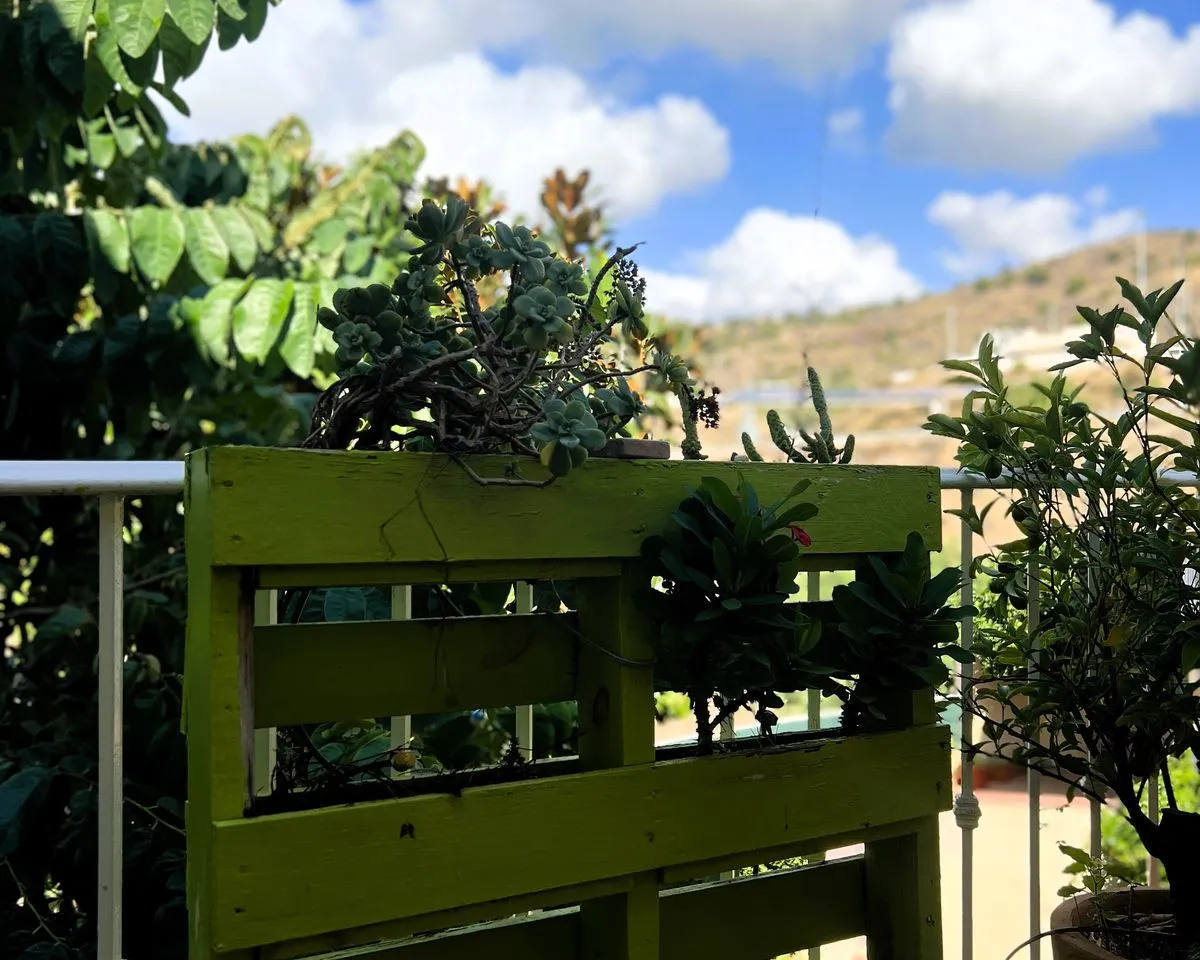 ef87eb57-4880-4f86-beaa-0a9eab4e6403