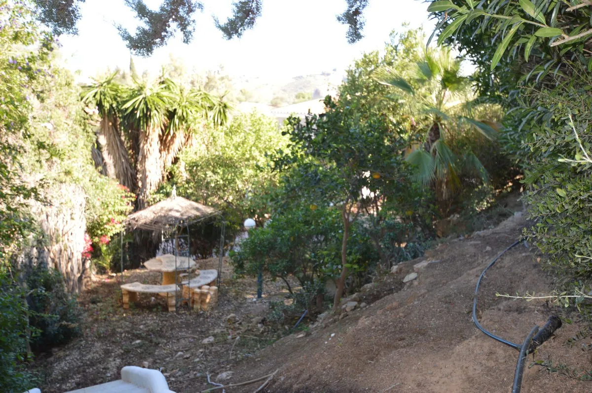 136edafe-386b-4917-bb38-d03cc2fc4995