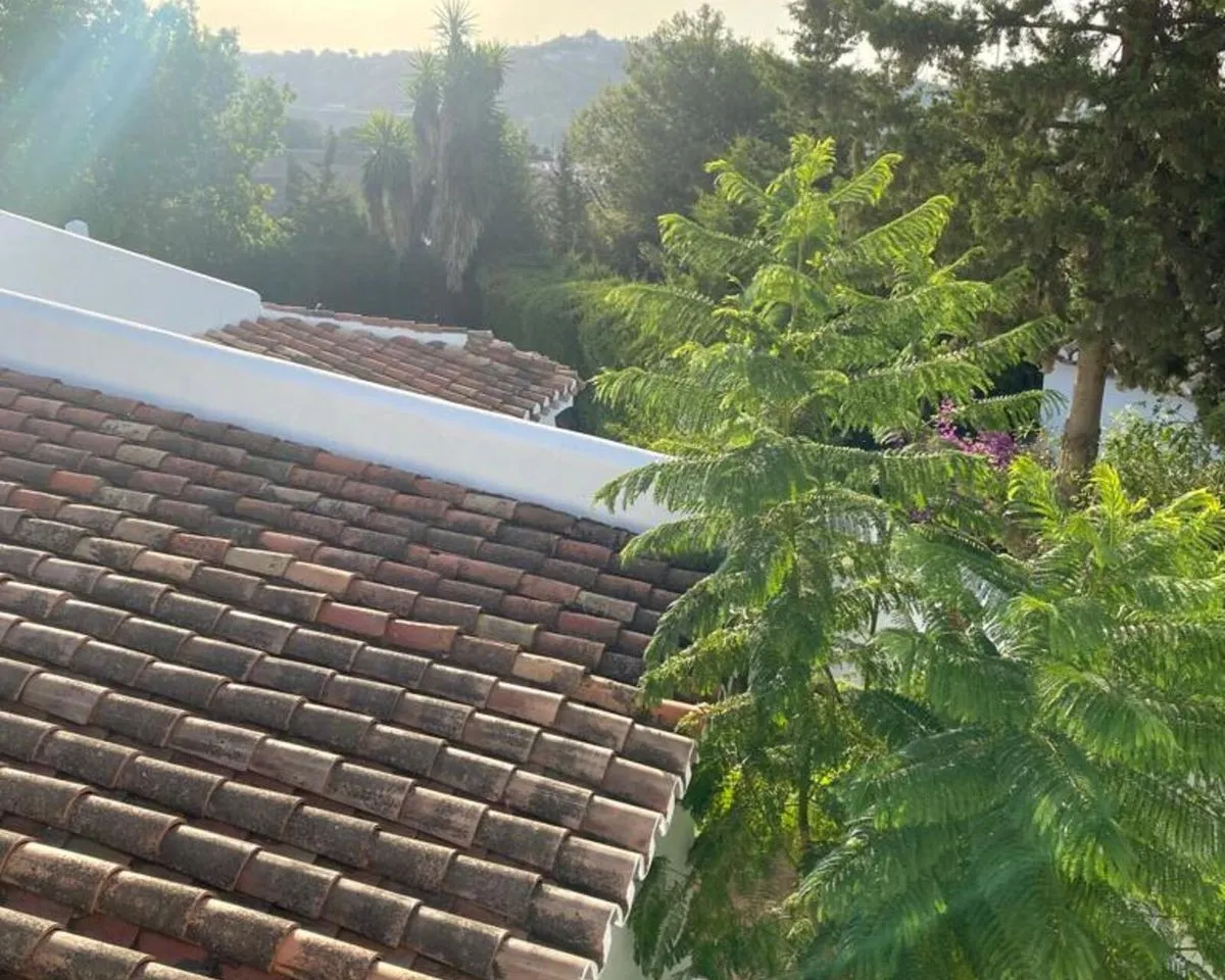 83874bbc-0371-4d14-abe1-8c8358c26af4