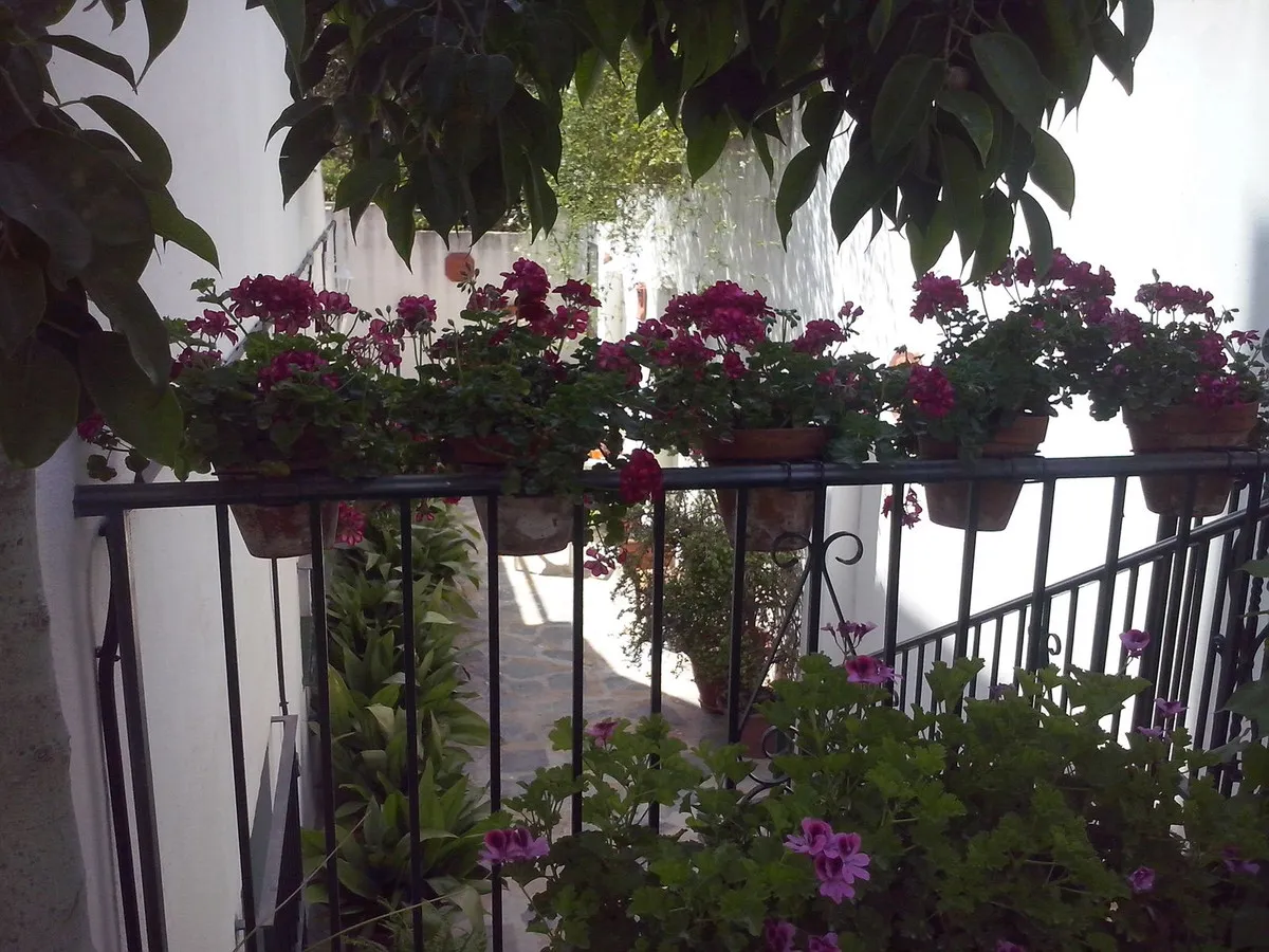 02bd039d-4655-4f74-bb9c-a9170cdcd680