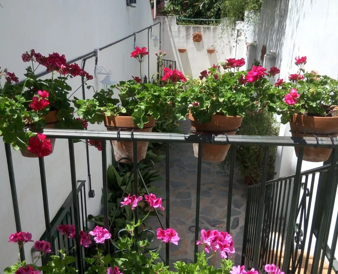 c040e214-c8df-4574-879d-136ca16dc830