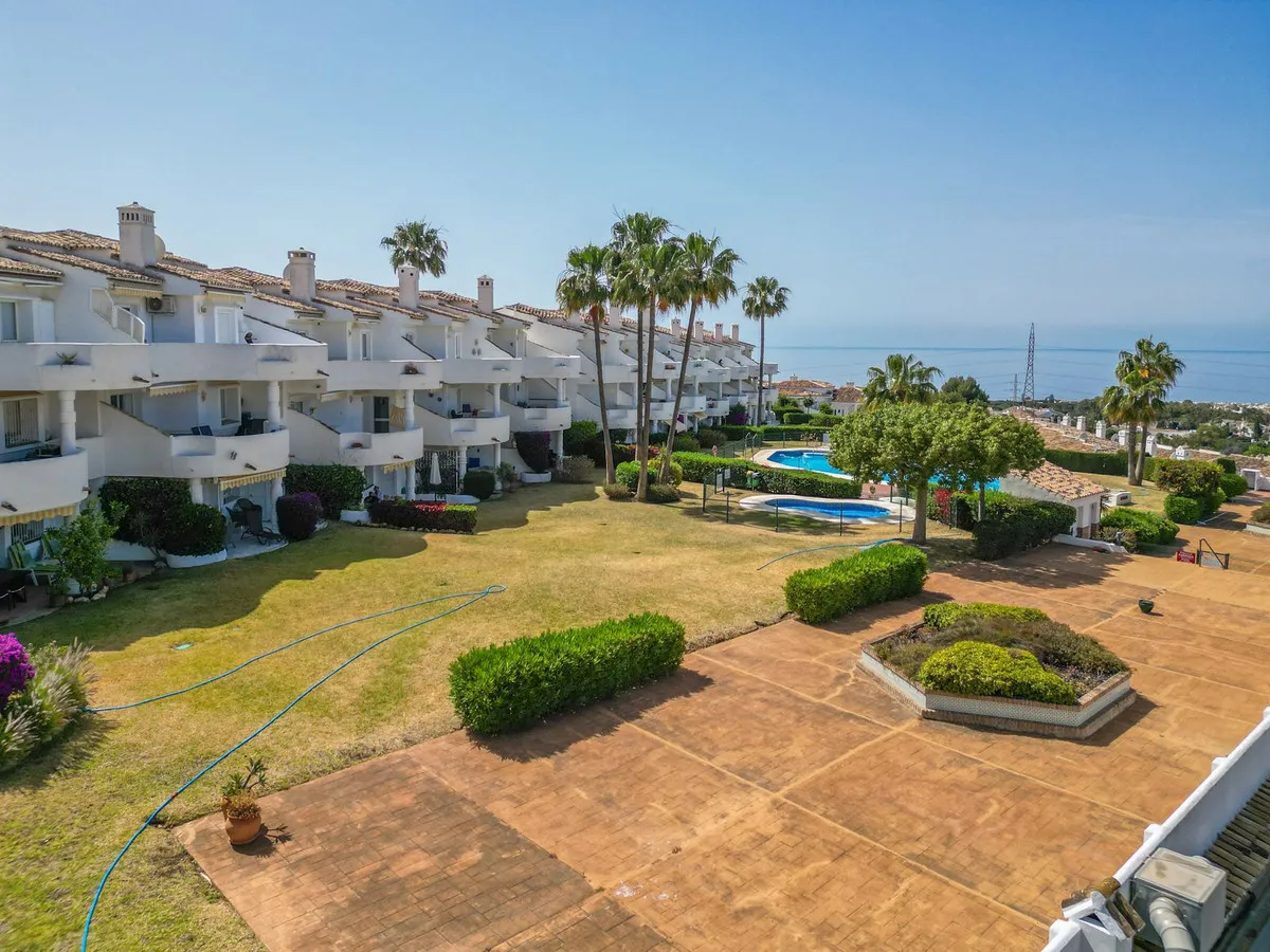 3d3d3f31-77d7-43ed-a9ab-902e8ae323aa