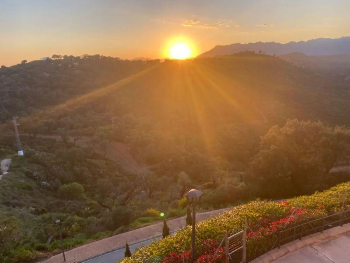 3e547e62-5196-4a26-82e6-c459b99191dd