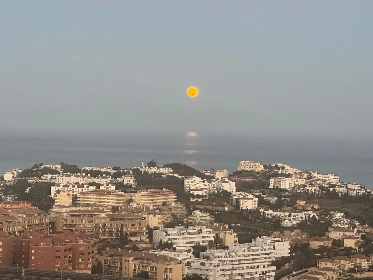 c22954fa-96d8-4bee-ab4e-fe348ac73b74