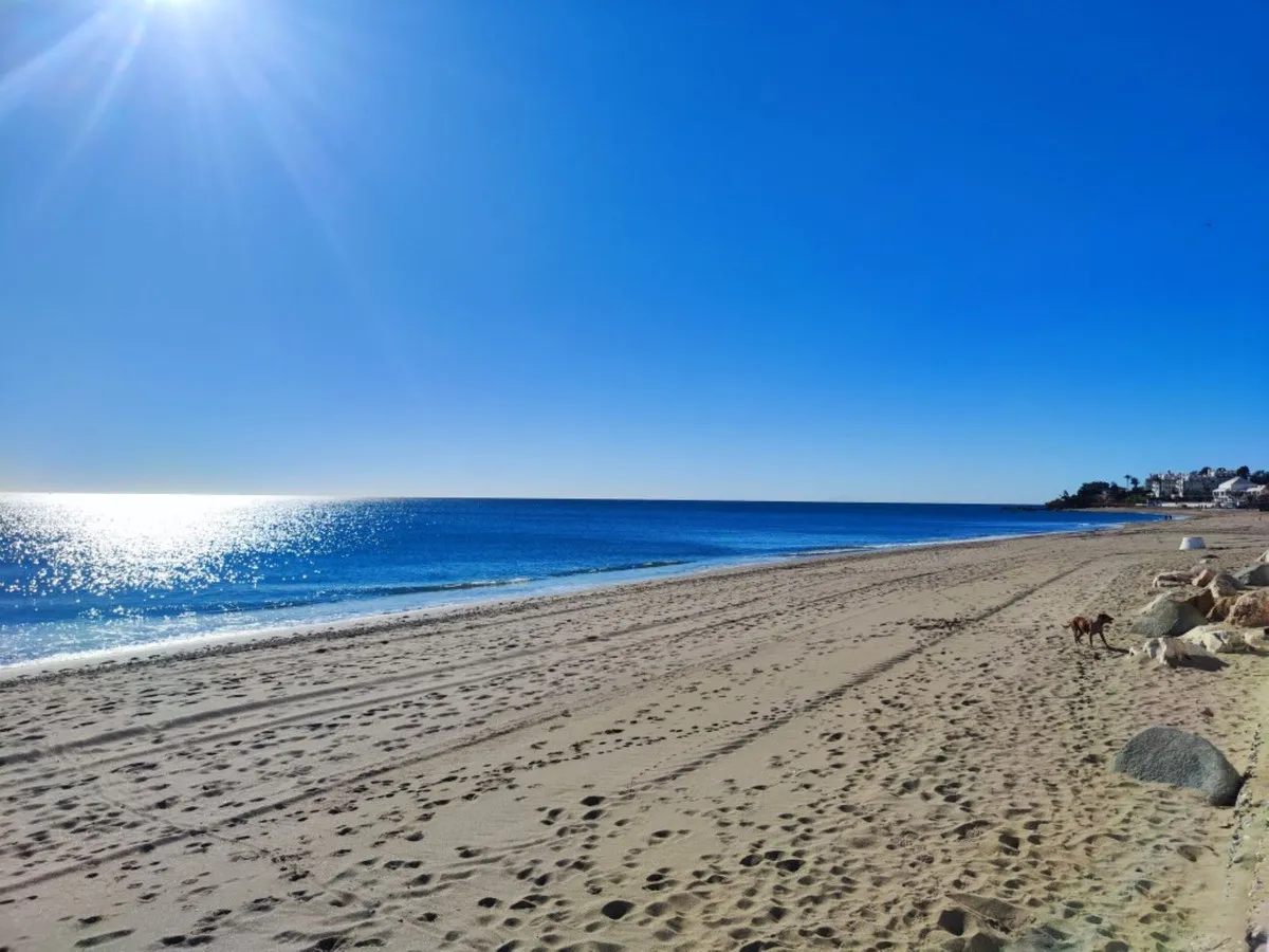 68904d0e-d1d9-4bde-a570-abd91c4b1e53