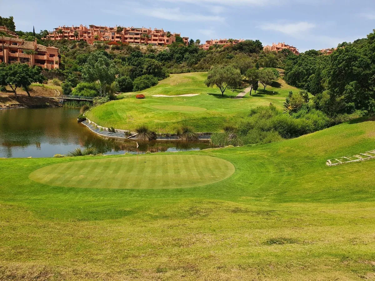 cf38838e-ef00-4495-bcc2-ddf1297a4a3f