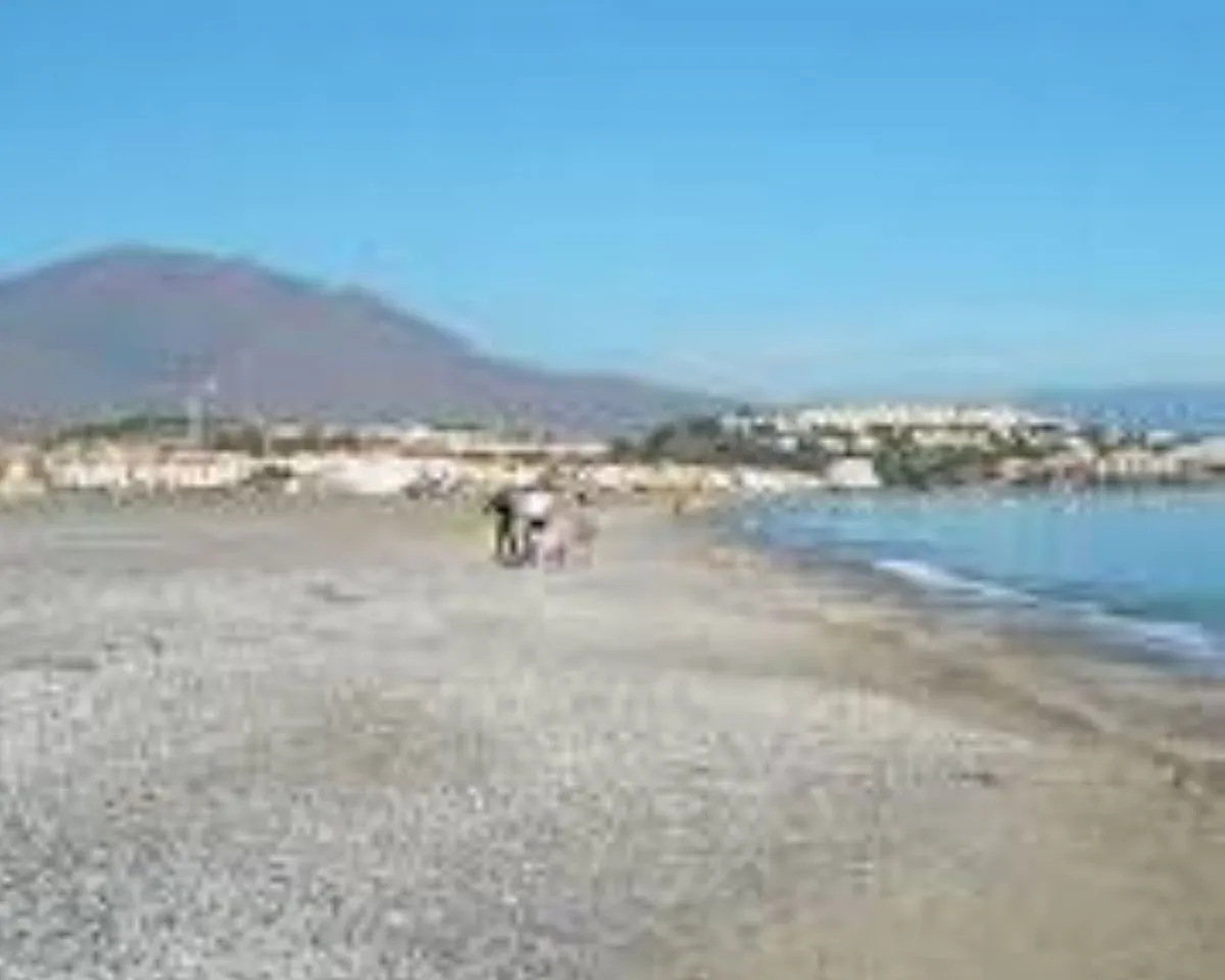 a9256bd8-70c6-4b0e-9565-28721a5c4caf