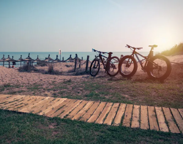 d3b80459-6526-45ef-8f74-b1b21531a77d