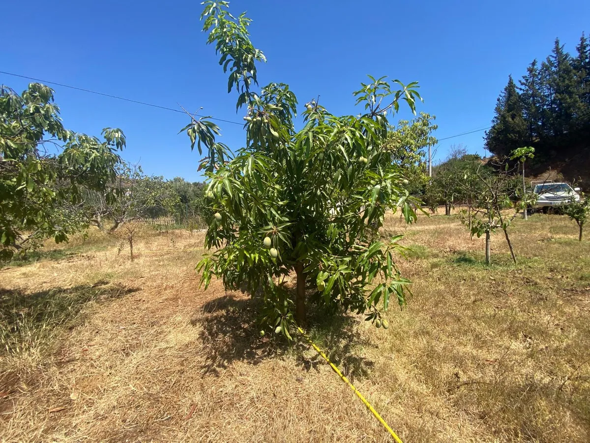 198c83f5-2f36-4c8b-a7a1-6f225c542003