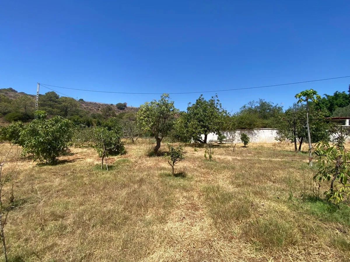 1f1aa24b-c178-4fa9-86fe-ffa8600d8592