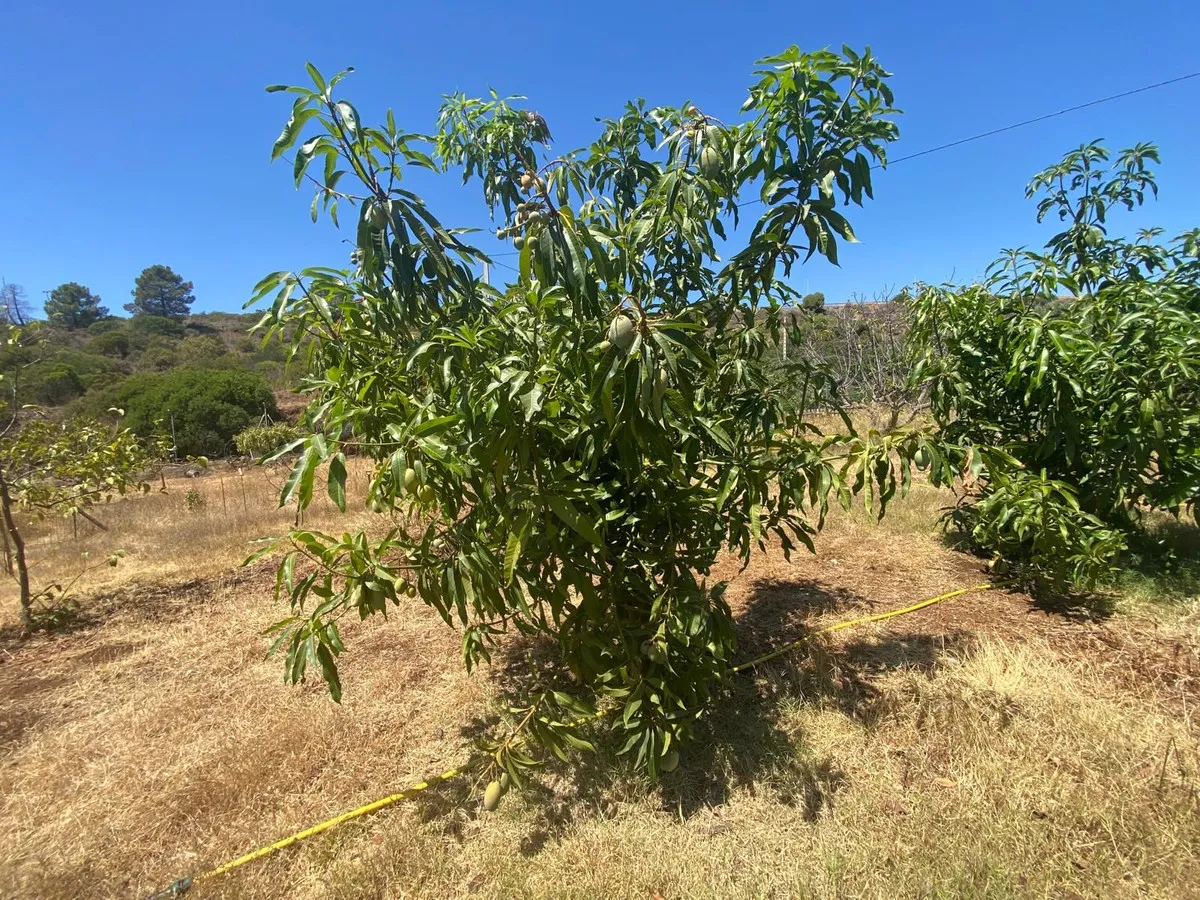 485f8a47-99a5-4d8c-89b3-d1912f06eac7