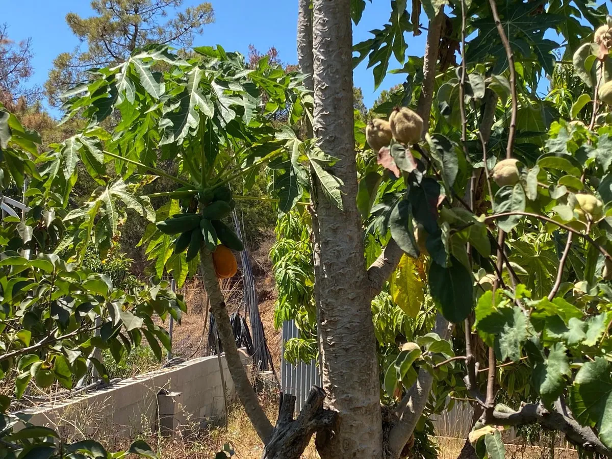 5ba618e2-bdbf-49ac-a00f-0ddcb31d33df