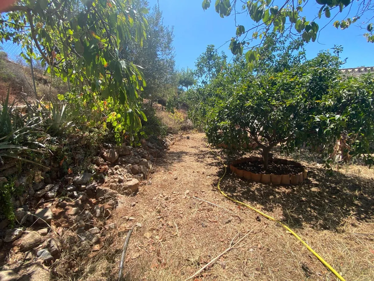 bad16205-20ce-462e-83c1-ded32fb57a11