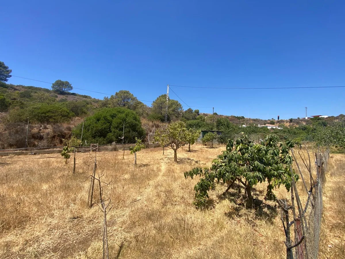 f3944eb4-24c6-4010-9aa4-282b86bf2fd8