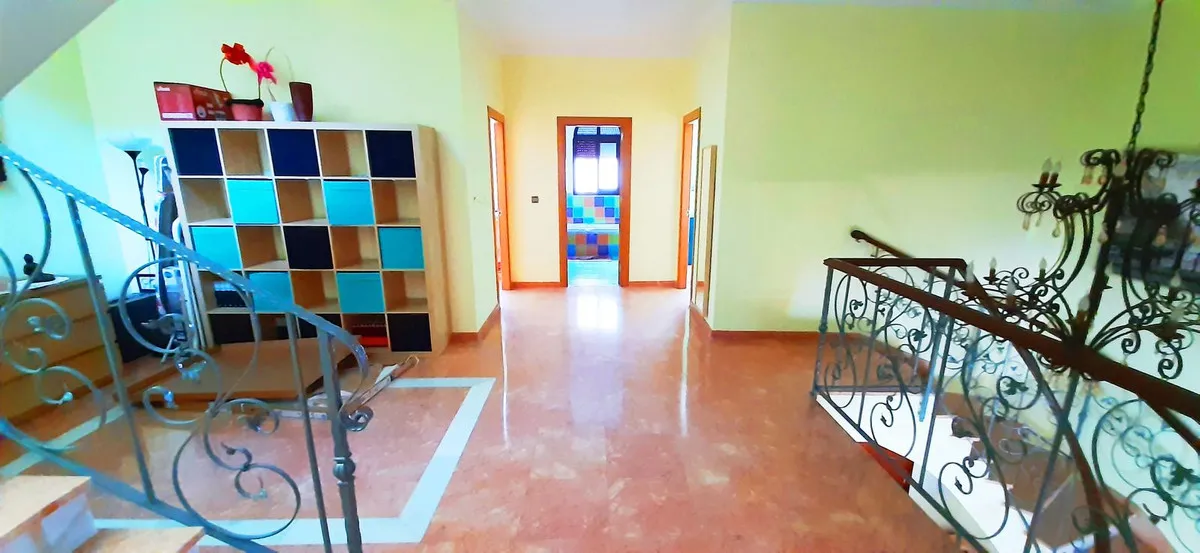 02e905f6-8721-4020-8c13-2d00da5d868f