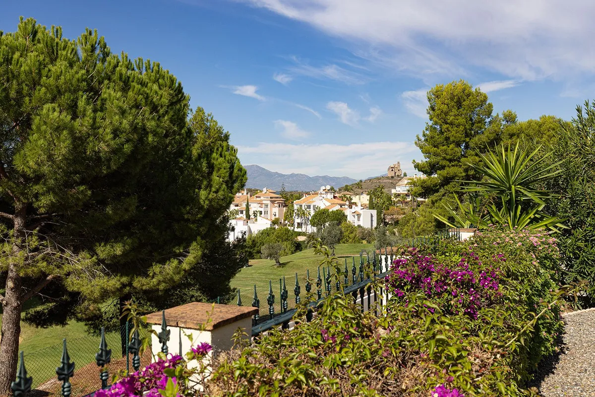 19cf033d-0b6a-479c-a8c6-02005cd39423